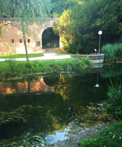 Stadtmauer mit Spiegelung Ulm Baden-Württemberg