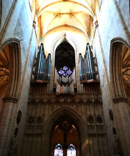 Schwalbennestorgel 2 Ulmer Münster