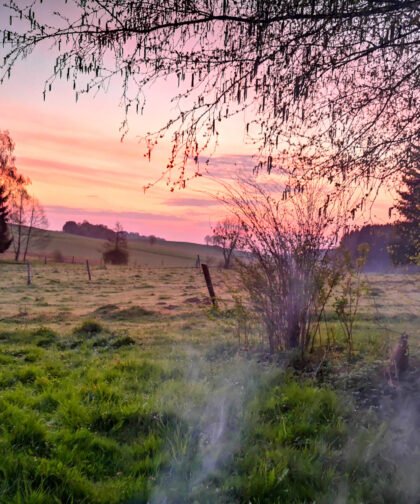 Nebel 2 - Naturfotos 2020