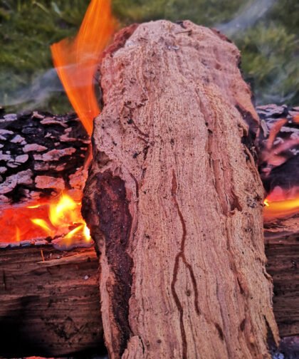 Feuer 2 - Naturfotos 2020