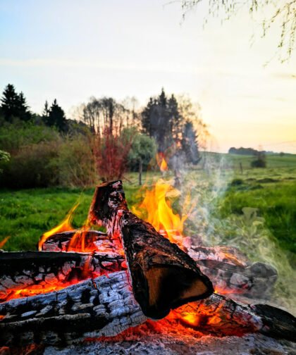 Feuer - Naturfotos 2020
