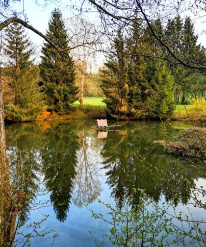 Weiher im Wald 2 - Naturfotos 2020