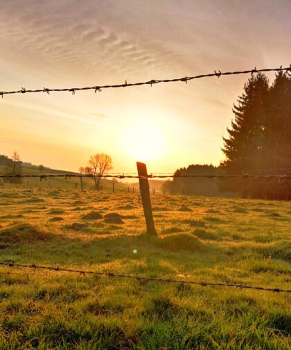 Sonnenaufgang - Naturfotos 2020