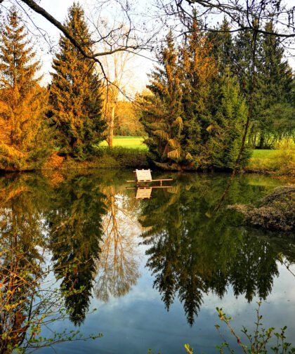 Weiher im Wald - Naturfotos 2020