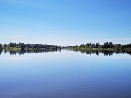 Wertach Stausee - Naturfotos 2020