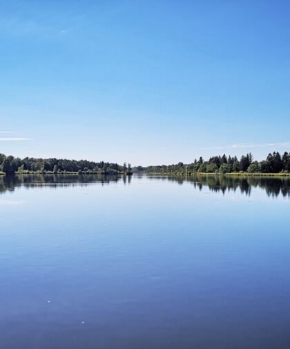 Wertach Stausee - Naturfotos 2020