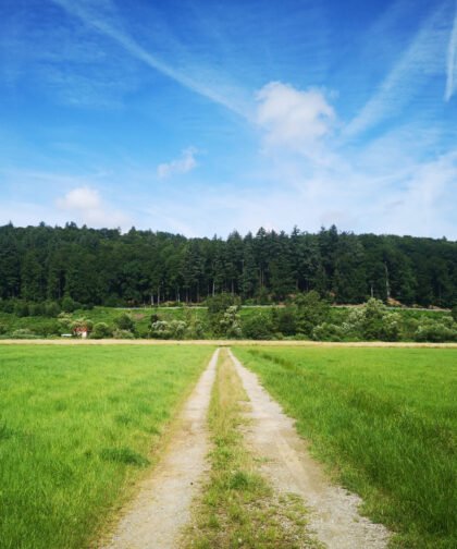Feldweg mit Aussicht - Naturfotos 2020