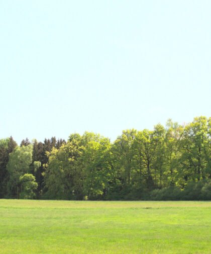 Aussicht Siebentischwald Augsburg