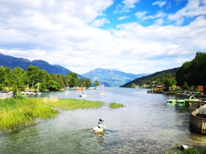 Millstätter See Aussicht Österreich