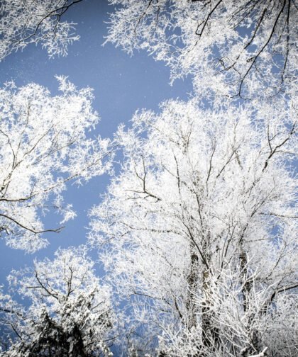 Ein unvergessliches Erlebnis: das Winterbild an der Schmutter