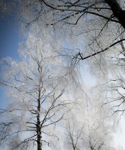 Winter-Bild an der Schmutter in Augsburg